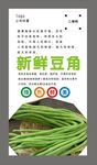 豆角海报