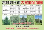 宣传彩页