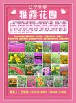 宣传彩页
