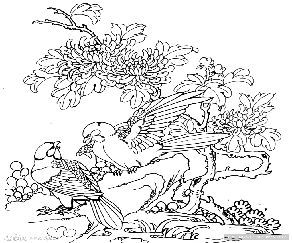 四君子之菊