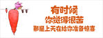 冷兔拔萝卜
