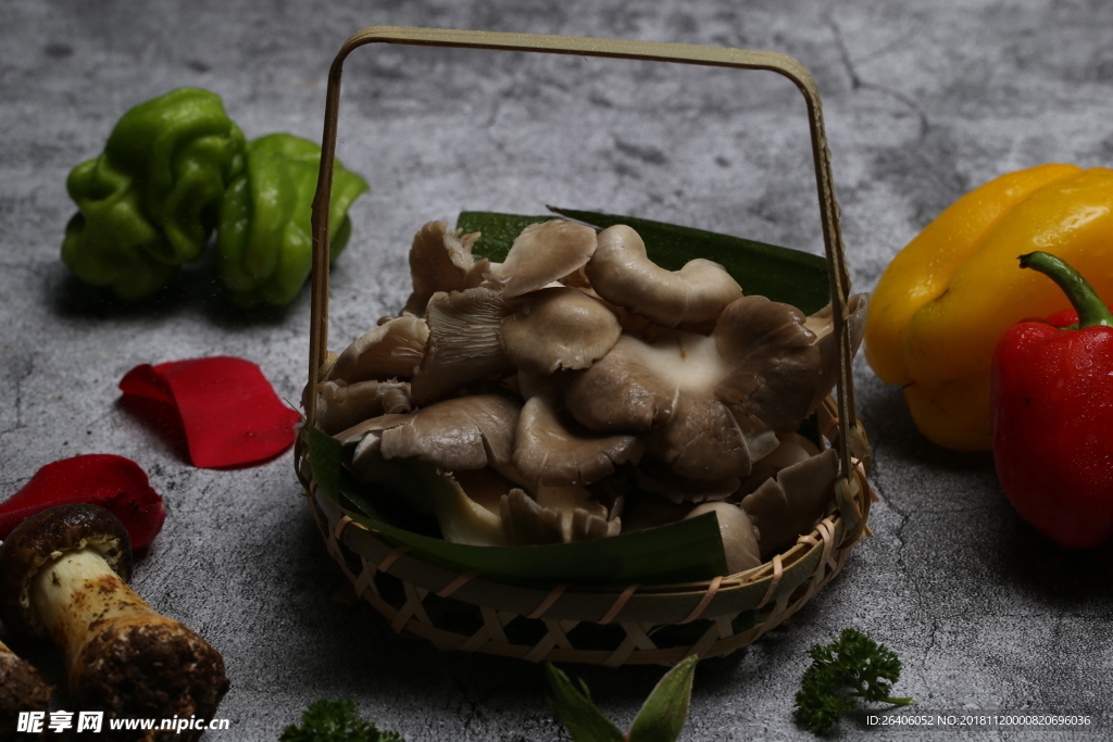 秀针菇