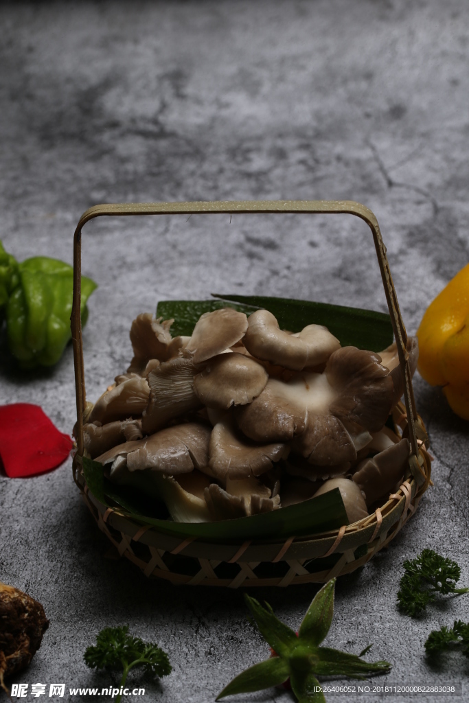 秀针菇
