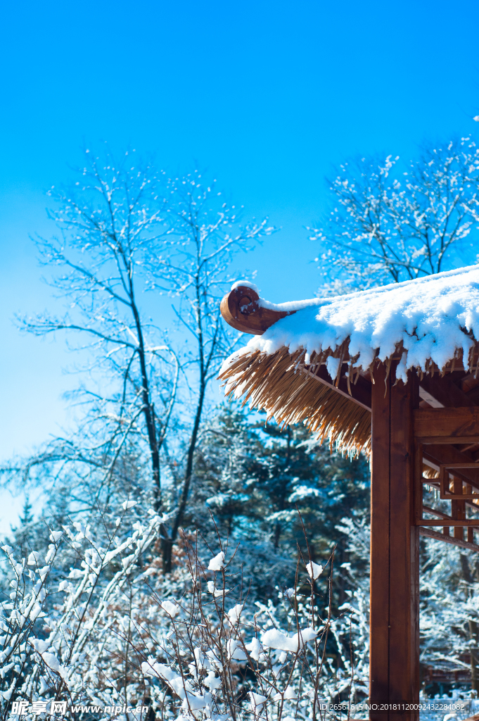 亭子雪景