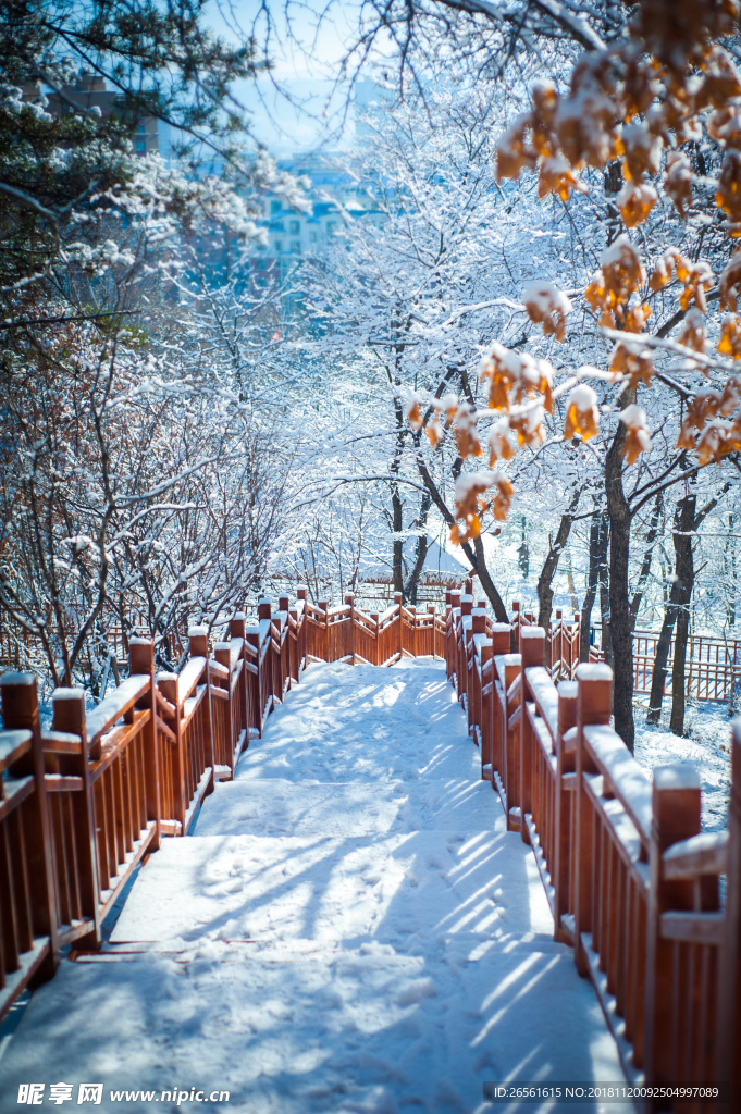 雪中漫步