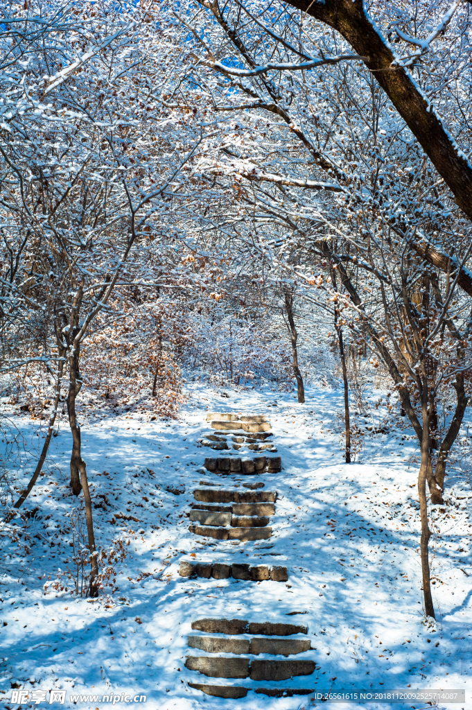 雪中步道