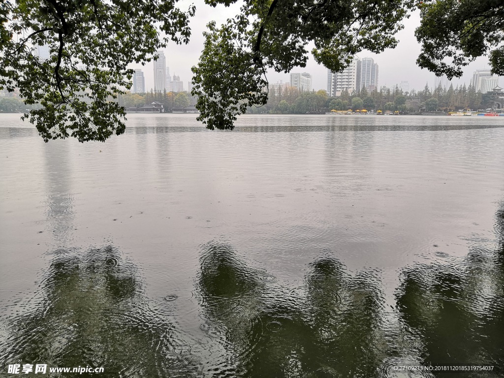 玄武湖风景