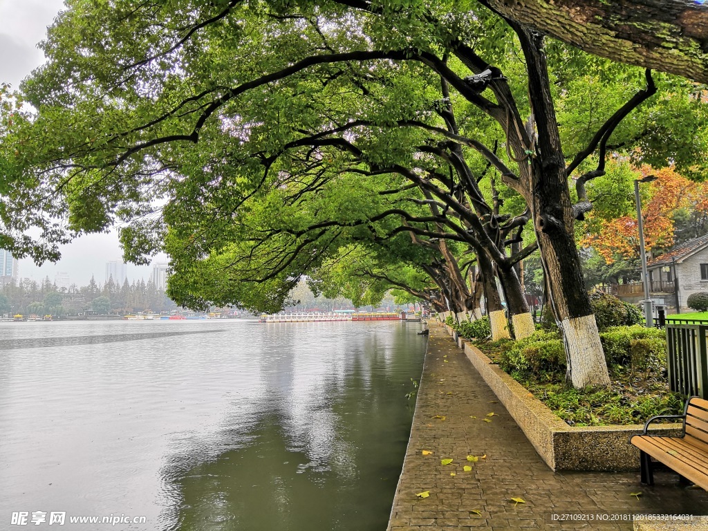 玄武湖风景