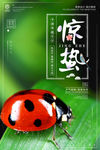 惊蛰节气宣传海报设计