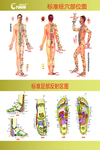 和治友德经部图