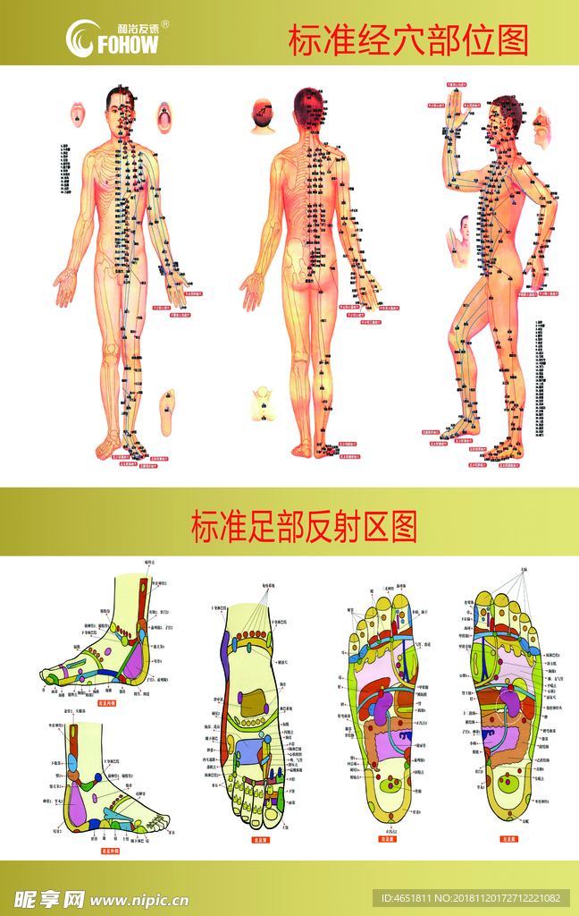 和治友德经部图