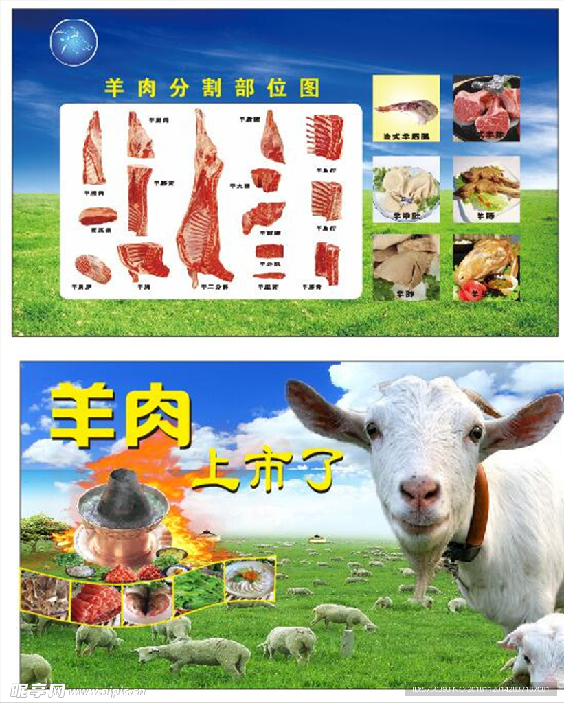 羊肉 上市了 羊肉分割图 部位