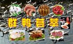 鸭子 肉类 广告 宣传 海报