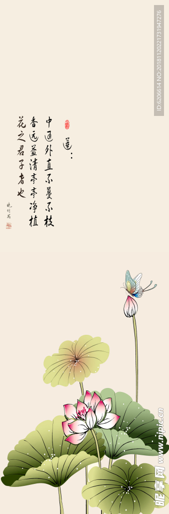 隔断荷花工笔荷花国画荷花