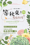 秋季上新海报