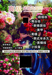 化妆造型师宣传海报