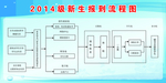 新生报到流程图