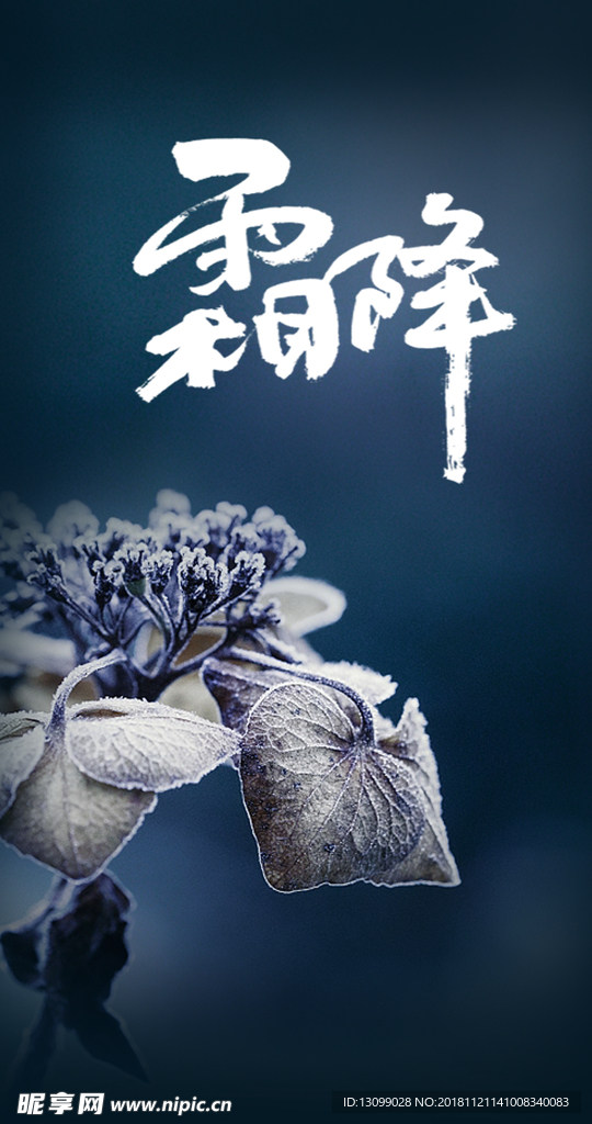 节气 霜降 小雪 大雪