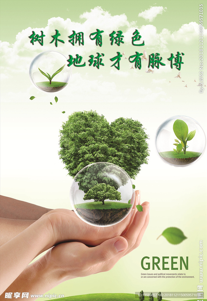 爱护树木