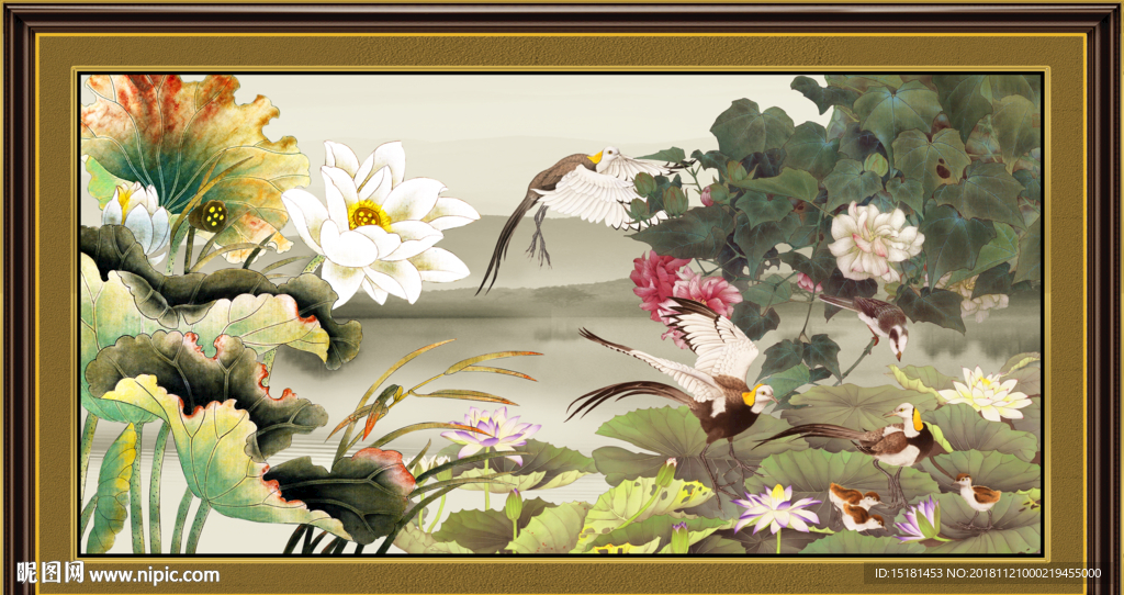 国画荷花