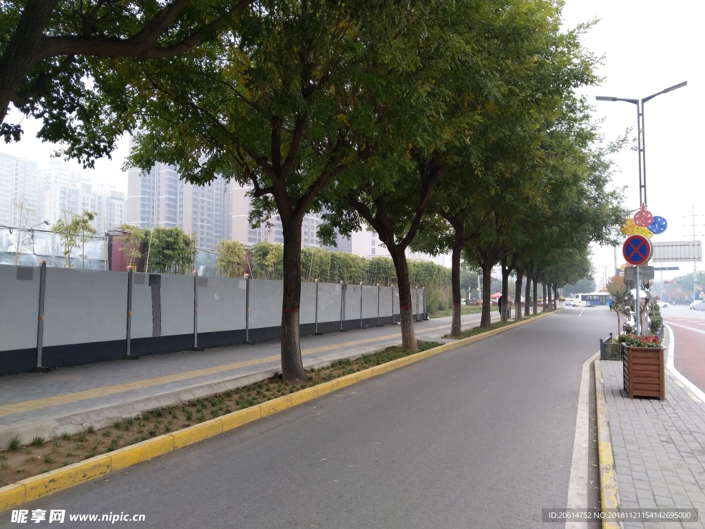城市道路风景