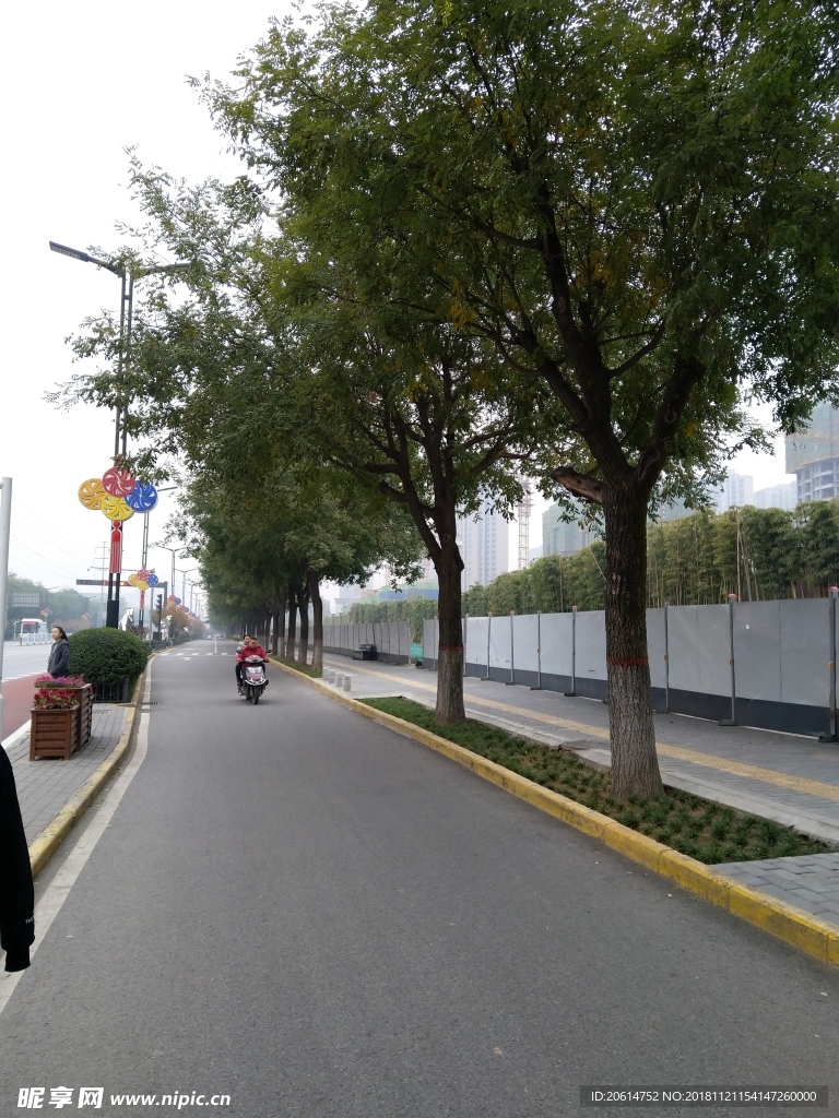城市道路风景