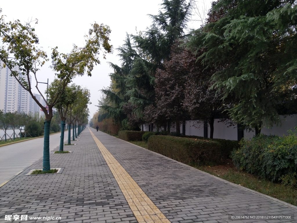 城市道路风景