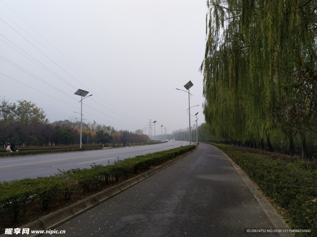 城市道路风景