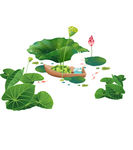 中国风荷花