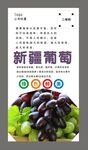 葡萄海报