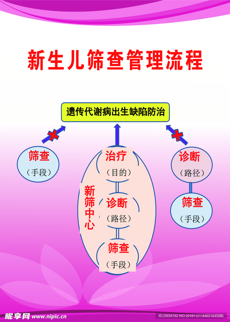 新生儿筛查管理流程