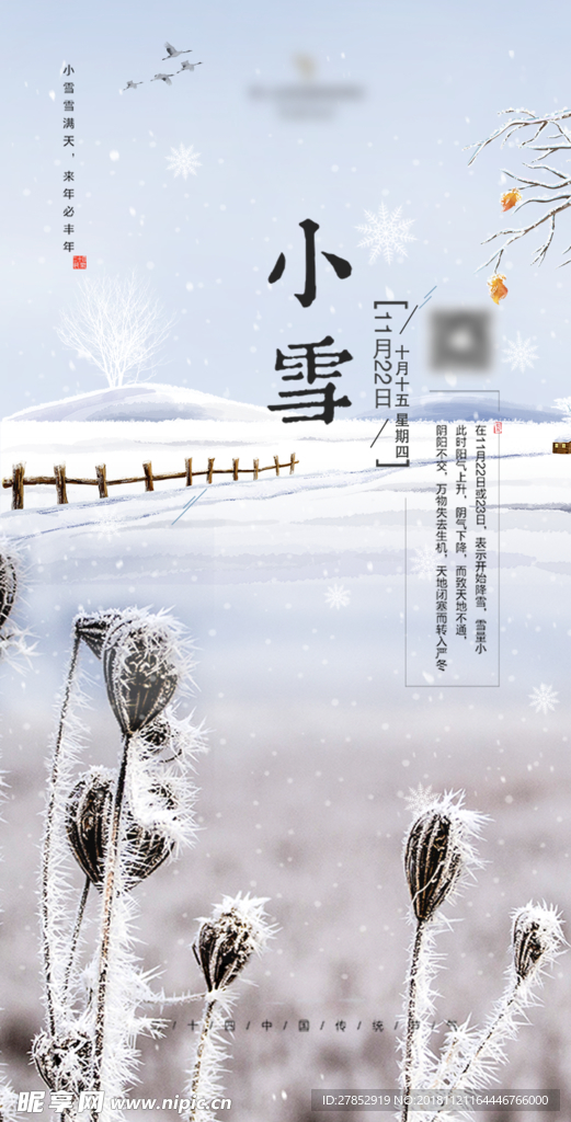 小雪