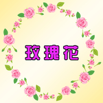 玫瑰花