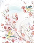 花鸟手绘插图