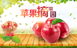 高端苹果特色海报