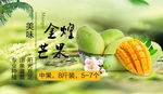 芒果banner图