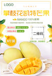 凯特芒果宣传海报