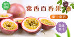 紫香百香果banner图