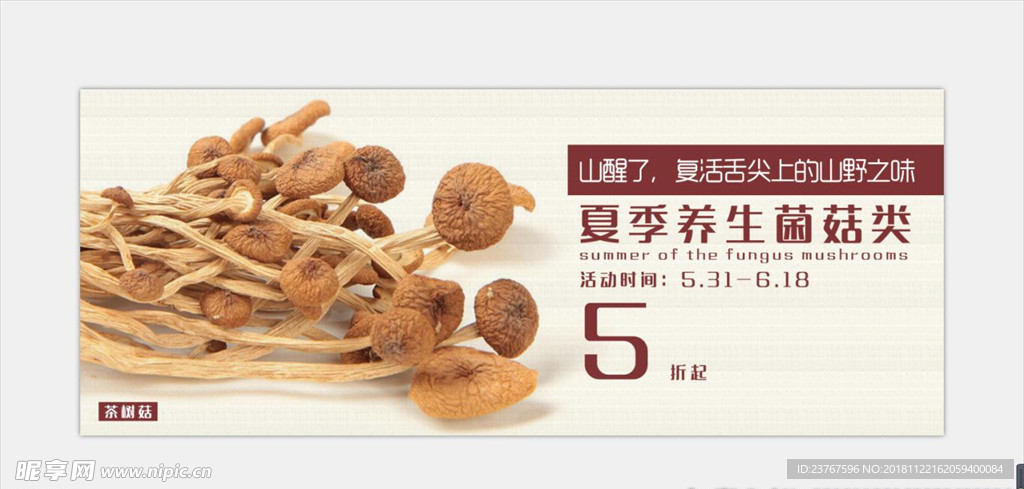 菌菇banner海报