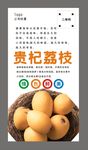 枇杷海报