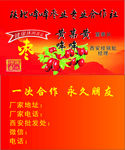 枣业合作社