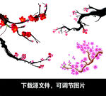 梅花