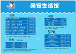 宠物店价目表