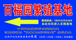 百福园