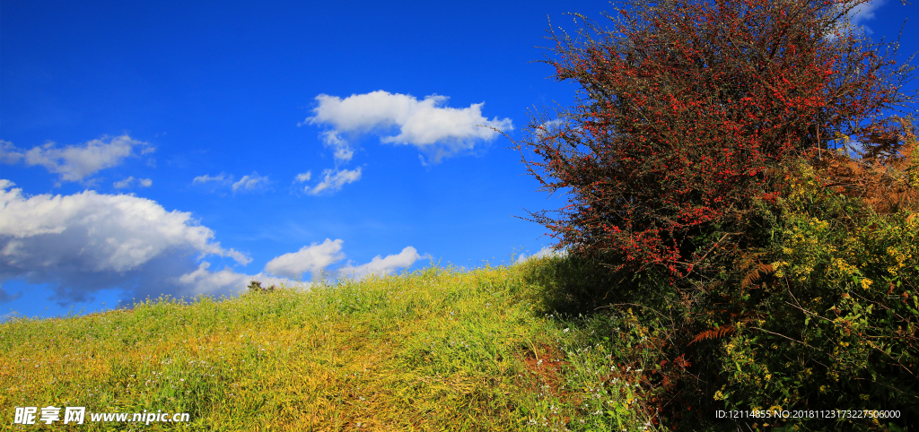 东川红土地