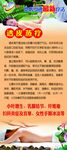 乐利来广告