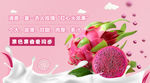 红心火龙果banner图