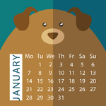 2019 台历 日历 挂历 猪