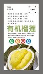 榴莲海报