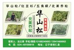宣传彩页